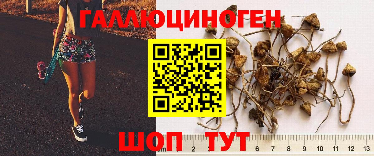 Псилоцибиновые грибы MAGIC MUSHROOMS  Вход с VPN  Ейск 